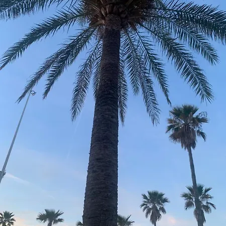 Sol